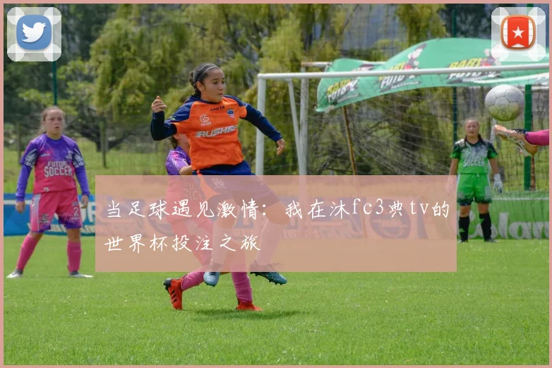 当足球遇见激情：我在沐fc3典tv的世界杯投注之旅