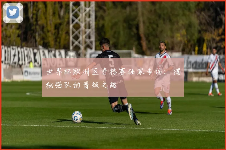 世界杯欧洲区资格赛独家专访：揭秘强队的晋级之路