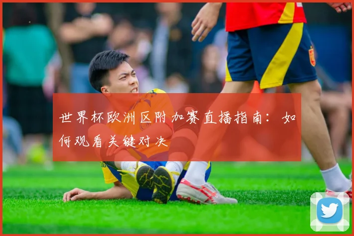 世界杯欧洲区附加赛直播指南：如何观看关键对决