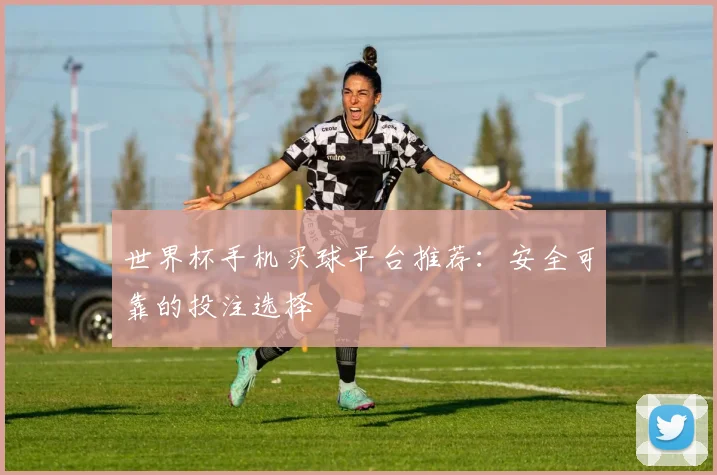 世界杯手机买球平台推荐:安全可靠的投注选择